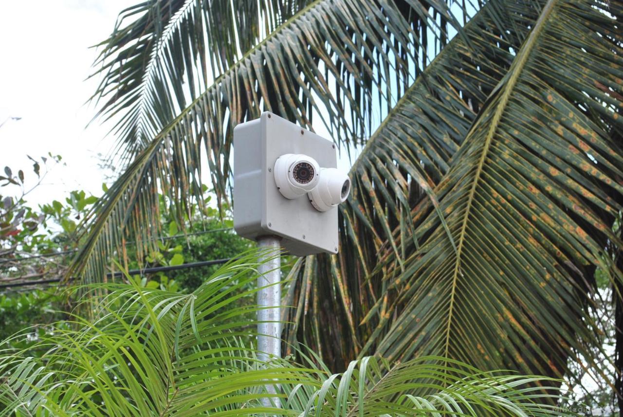 شقة Tropical Hideaway ناسو المظهر الخارجي الصورة